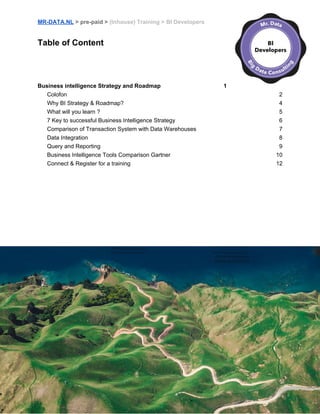 Business intelligence strategy and roadmap 2018 | PDF