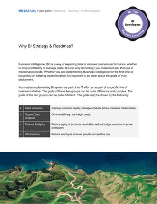 Business intelligence strategy and roadmap 2018 | PDF