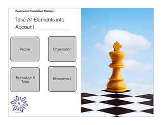 Experience Revolution Strategy:


Take All Elements into
Account



   People                    Organization




Technology &                  Environment
    Tools
 