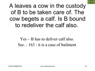 A leaves a cow in the custody of B to be taken care of. The cow begets a calf. Is B bound to redeliver the calf also.  Yes – B has to deliver calf also.  Sec. : 163 : it is a case of bailment  