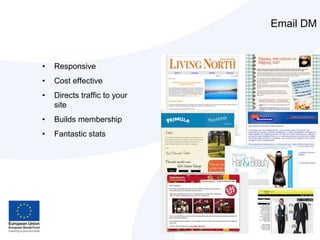 What do they look like?