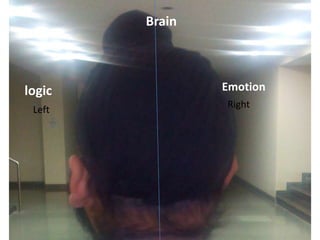 Brain

logic
Left

Emotion
Right

 