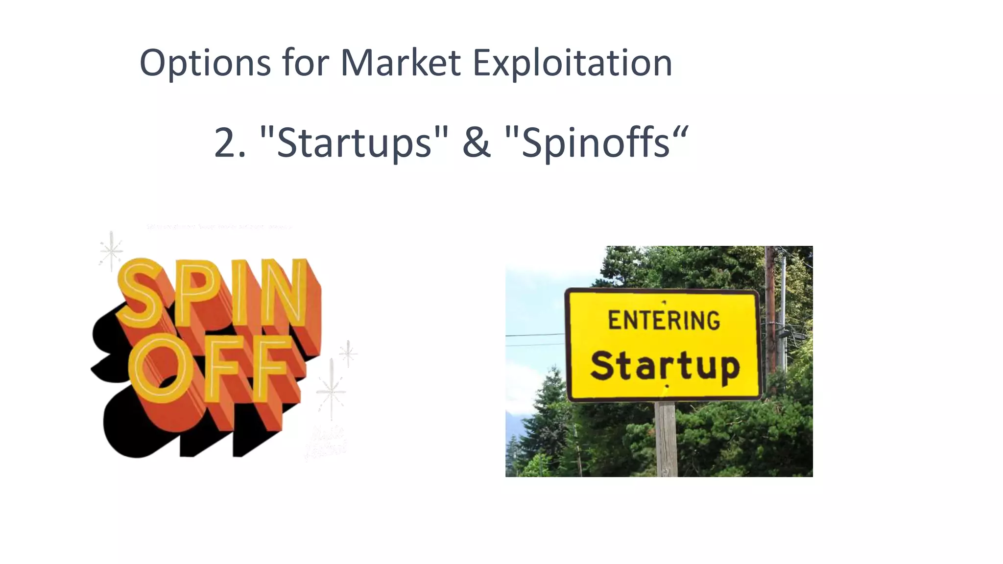 2. "Startups" & "Spinoffs“
Options for Market Exploitation
 