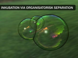 INKUBATION VIA ORGANISATORISK SEPARATION
 