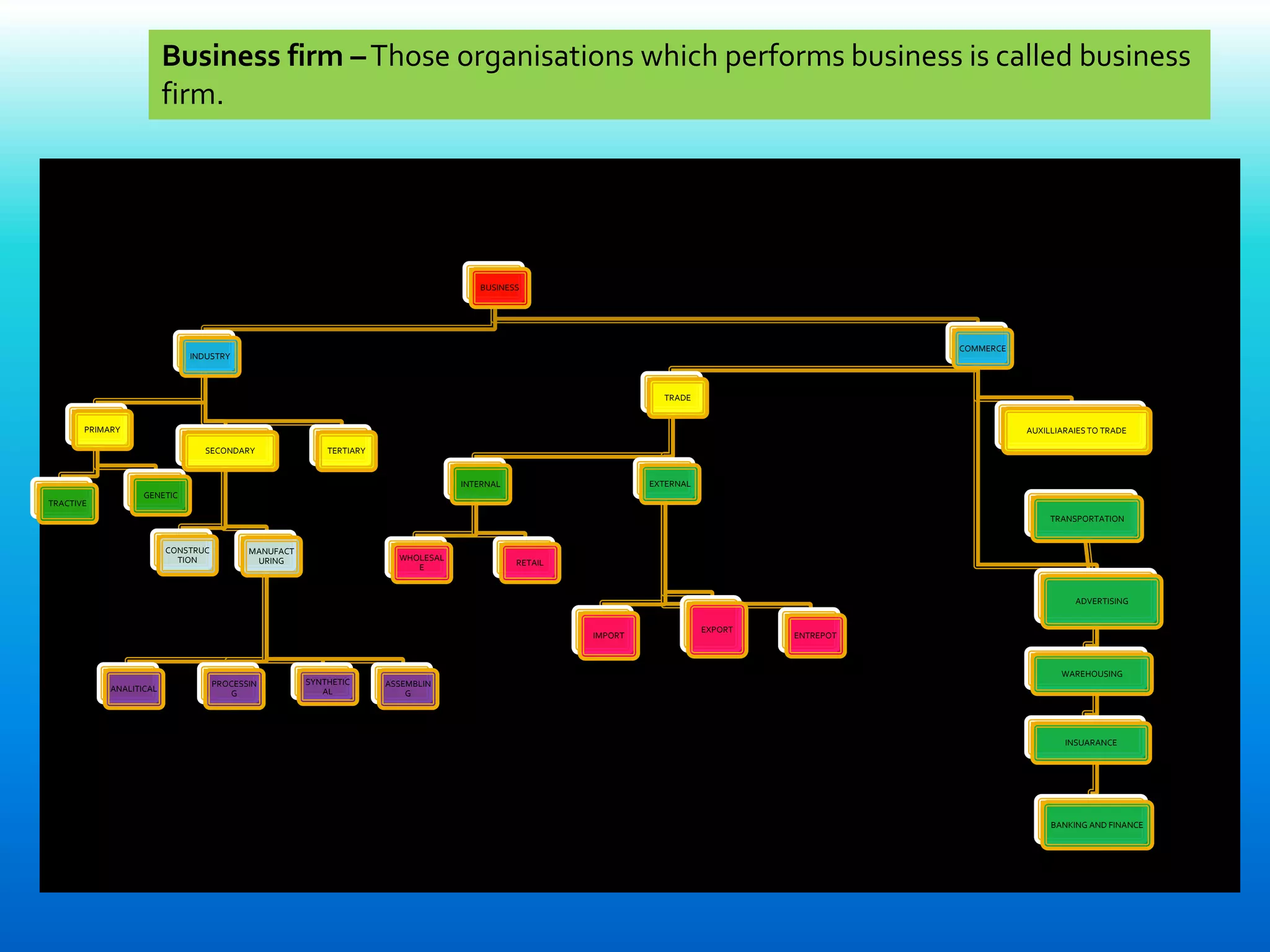 BUSINESS NOTES chapter -1 | PPTX