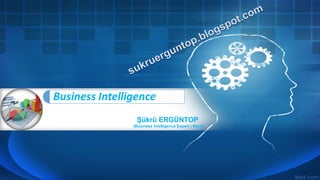 Şükrü ERGÜNTOP
(Business Intelligence Expert | Work)
 