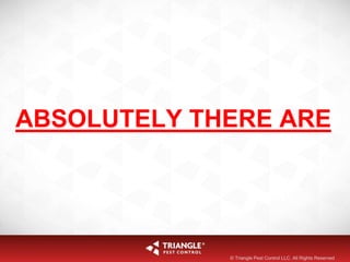ABSOLUTELY THERE ARE
© Triangle Pest Control LLC. All Rights Reserved
 