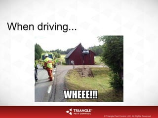 When driving...
© Triangle Pest Control LLC. All Rights Reserved
 