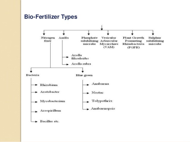 fertilizer