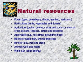 Natural resources 
• Forest (gum, gooseberry, timber, bamboo, herbs,etc.) 
• Horticulture (fruits, vegetables and flowers) 
• Agriculture (grains, pulses, spices and such commercial 
crops as cane, tobacco, cotton and oilseeds) 
• Agro-waste (e.g. rice, straw, groundnut husk) 
• Marine or Aqua (fish, shrimp and crab) 
• Mineral (clay, iron and steel) 
• Animal (wool and meat) 
• Wind/ Sun (solar energy) 
 