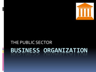 BUSINESS ORGANIZATION THE PUBLIC SECTOR 
