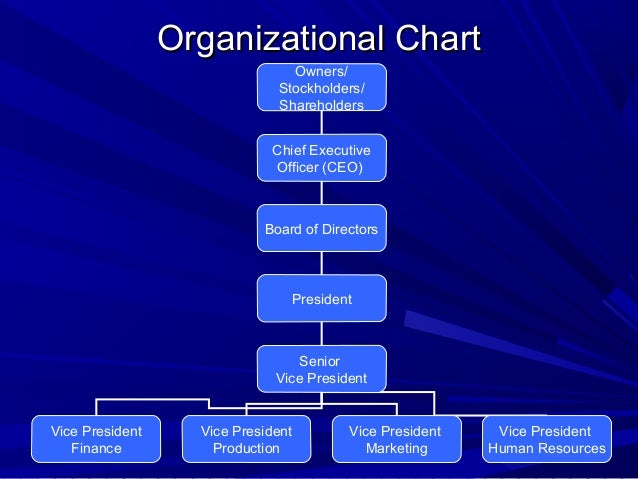 Organizational Chart For Sole Proprietorship
