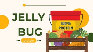 JELLY
BUG
protein
 