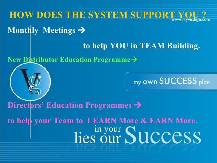 Vestige best deal business plan picture