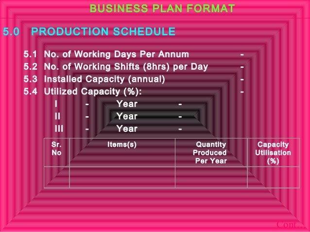 Capacity Business Plan Capacity Business Plan