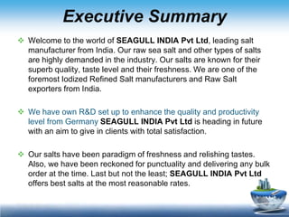 Salt Plan Example Flavour Salt - Business Plan | PPTX