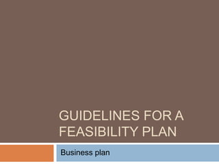 GUIDELINES FOR A
FEASIBILITY PLAN
Business plan

 