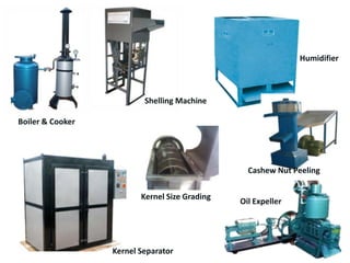 Humidifier

Shelling Machine
Boiler & Cooker

Cashew Nut Peeling
Kernel Size Grading

Kernel Separator

Oil Expeller

 