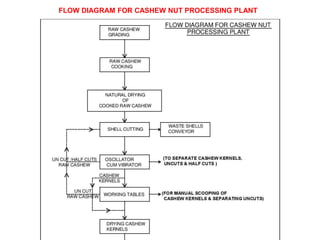 FLOW DIAGRAM FOR CASHEW NUT PROCESSING PLANT

 