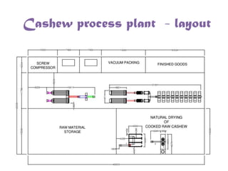 Cashew process plant - layout

 