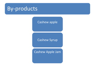 By-products
Cashew apple

Cashew Syrup
Cashew Apple Jam

 