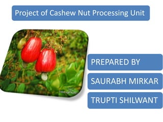 Project of Cashew Nut Processing Unit

PREPARED BY

SAURABH MIRKAR
TRUPTI SHILWANT

 