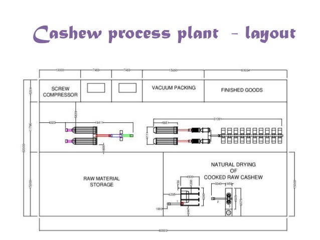 business plan on cashew nut production