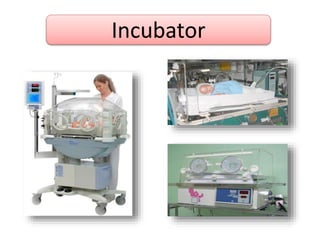 Incubator
 