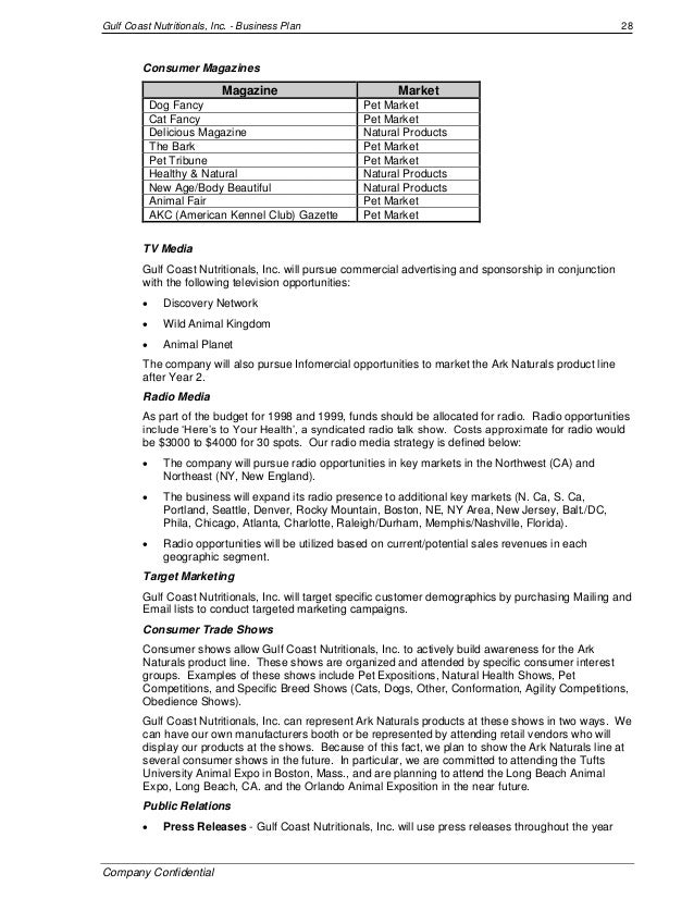 Television network business plan template