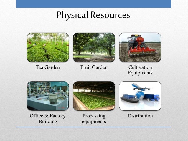 Landscape gardening business plan