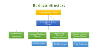 Business Structure
Chief Operating Officer
Sales and Marketing
Manager
Field Employees
Administrator/
Accountant
Organic Crop
Cultivation
Manager/Supervisor
Field Employees
Organic Livestock
Farming Manager
Field Employees
General Farm & Store
Manager
 