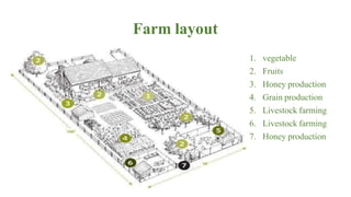 Farm layout
1. vegetable
2. Fruits
3. Honey production
4. Grain production
5. Livestock farming
6. Livestock farming
7. Honey production
 