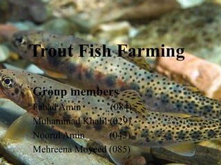 Trout Fish Farming
Group members
Fahad Amin (084)
Muhammad Khalil (029)
Noorul Amin (043)
Mehreena Moyeed (085)
 
