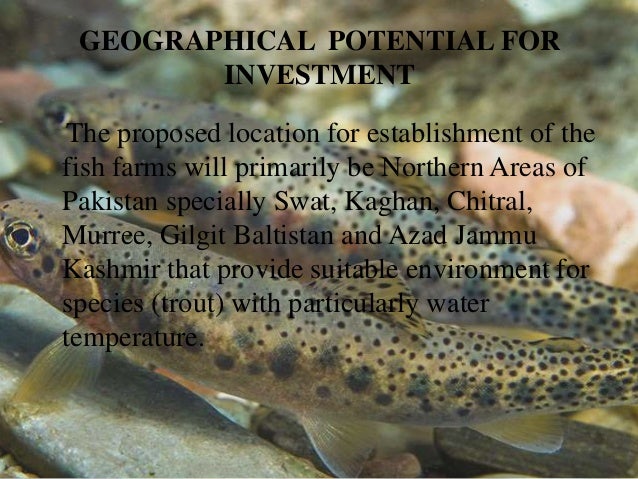 trout fish farming business plan