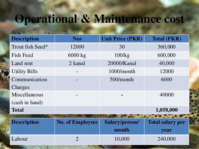 sample of a fish farming business plan