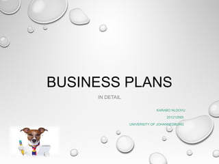 BUSINESS PLANS
IN DETAIL
KARABO NLDOVU
201212565
UNIVERSITY OF JOHANNESBURG

 