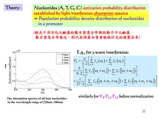 22
Theory:
The absorption spectra of all four nucleotides
in the wavelength range of 220nm~300nm
Nucleotides (A, T, G, C) activation probability distribution
established by light interference absorption spectra
= Population probability density distribution of nucleotides
in a promoter
( ) ( )
( ) ( )
( ) ( )
3 3
1 1
, ,
, , ,
3 2
9 2
27 2
A A i T i
i i
A i j T i j
i j i j
A i j k T i j k
i j k i j
a
P f f
b
f f
c
f f
ω ω
ω ω ω ω
ω ω ω ω ω ω
= =
 
= +∑ ∑ ⋅  
 
+ ± + ±∑ ∑ 
⋅  
 
+ ± ± + ± ±∑ ∑ 
⋅  
E.g., for 3-wave interference:
similarly for PT, PC, PG, before normalization
f
(被光干涉活化之鹼基的數目密度分布與啟動子中之鹼基
數目密度分布接近，則代表該蛋白質會被統計式的複製出來)
 