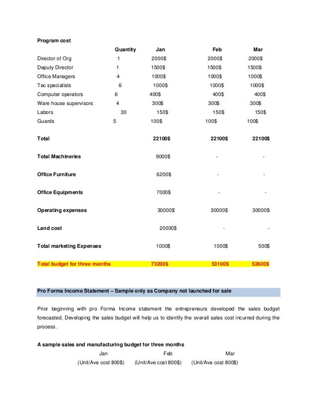 sales business plan sample