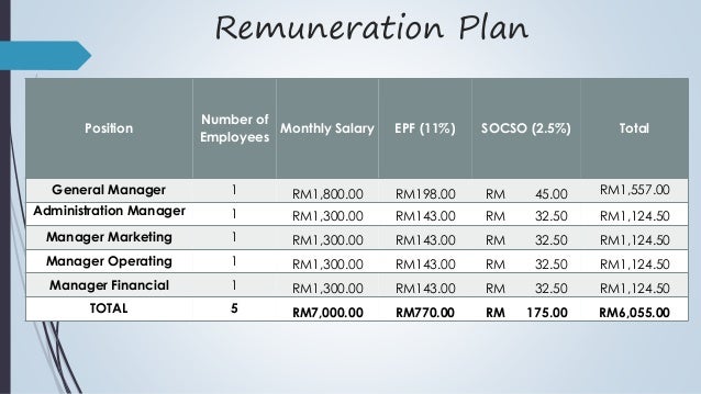 Remuneration and incentives in business plan picture