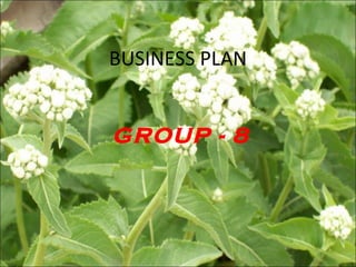 BUSINESS PLAN GROUP - 8 