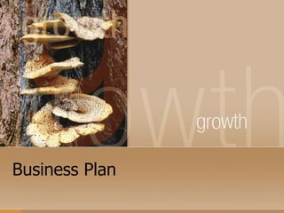 Business Plan 