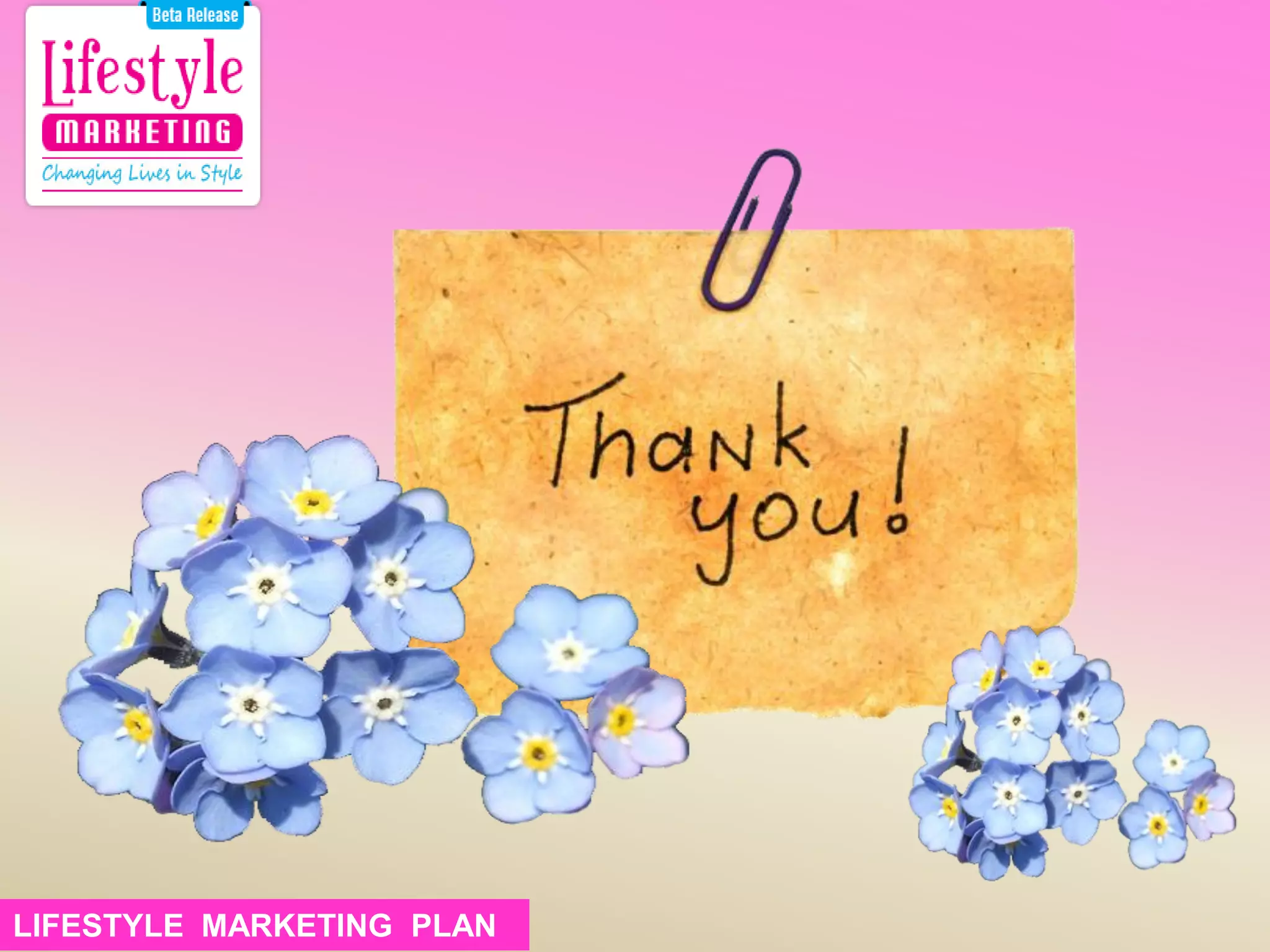 LIFESTYLE MARKETING PLAN
 