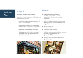 Business
Plan
Phase 1
Implement Business Model Canvas
Implement Product Placement and Marketing
Strategies (pg. 120-125)
• Product development and production of
  inital 4 flavoured salts
• Connect with channels for distribution
  and marketing national and international
• Packaging, marketing and Sale of salt
•  Making promotional videos to spread
  awareness about the product and the
  Agariya community
  
Phase 2
• Spread awareness about their
   work in non-product way (art
  installation, tourism, merchandise,
  souvenir)
• Sale of a ‘Make-your-own-Agariya-food
  kit’ with crystal salt and other regional
  ingredients
• Recipe pamphlets
•  Introduce other flavours
•  Explore economic potential of developing
  Fleur de sel, pyramid salt, black
  pyramid salt flakes
•  Provide more efficient work tools and
  protective gear
 