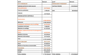 ACTIF Montant passif Montant
ACTIF IMMOBILISE FINANCEMENT PERMANENT
IMMOBILISATION EN NON VALEUR: CAPITAUX PROPRE 2 250 000,00
Frais préliminaire 20 750,00
Frais de constitution 2 000,00 EAEC 500 000,00
Publicité
18 750,00
IMMOBILISATION CORPORELLE
Constructions
2 000 000,00
Bâtiments 2 000 000,00
Installations, techniques mat et outillage 65 555,00
Installation technique 4 000,00
Matériels et outillage 61 555,00
Mobilier, matériel de bureau et aménagement
divers 68 955,00
Mobilier de bureau 58 189,00
Matériels informatique 10 766,00
Total 2 155 260,00
ACTIF CIRCULANT 88 112,00
Stock 50 000,00
Matière et fourniture consommable 38 112,00
TRESORERIE 506 628,00
BANQUE 486 628,00
CAISSE 20 000,00
TOTAL GENERAL 2 750 000,00 TOTAL GENERAL 2 750 000,00
 