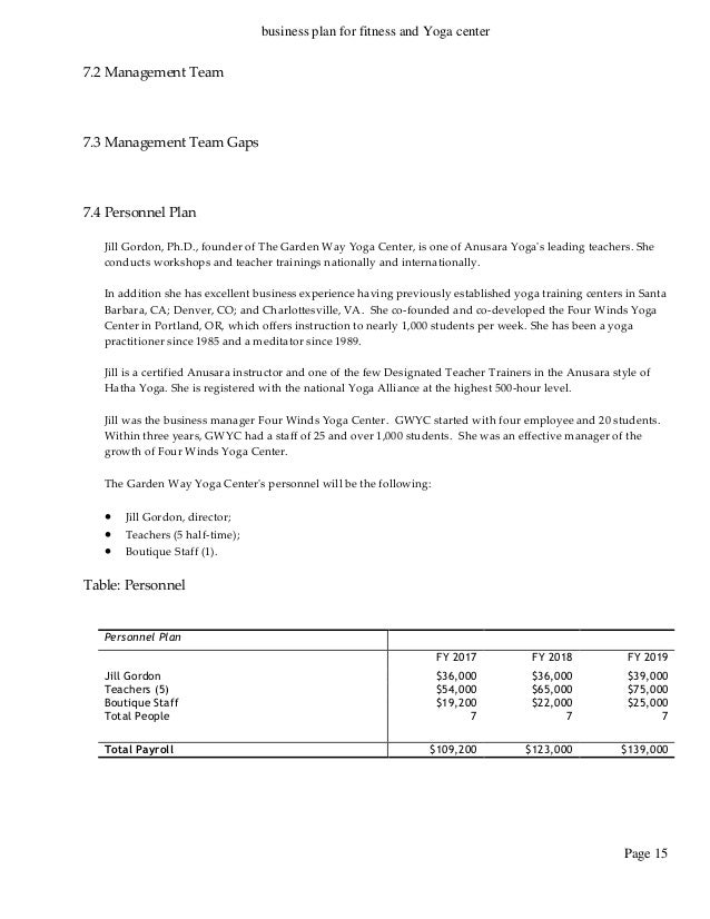 Business plan gaps