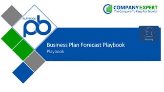 Business Plan Forecast Playbook
Playbook
PLAYBOOK
Planning
 