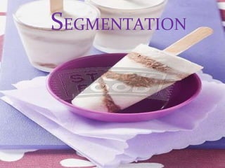 S EGMENTATION 