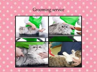 Grooming service
 