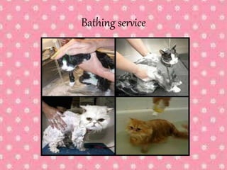Bathing service
 