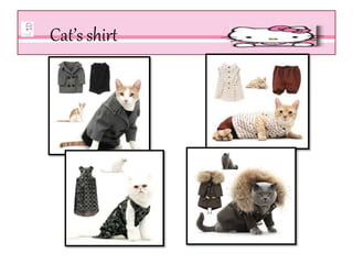 Cat’s shirt
 